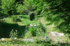 20170527_131208